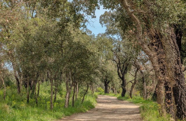 Quiet family country villa