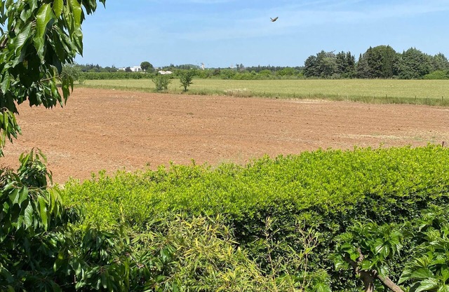 Quiet garden apartment in petite camargue