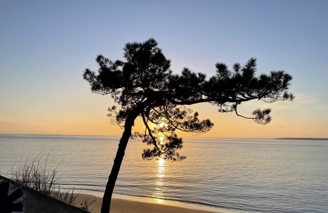 Quiet villa between Cap Ferret and Arcachon