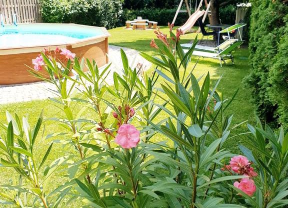 Rádi Apartman Balatonföldvár