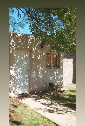 Raíces Diaguitas II