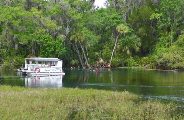 Rainbow River Home - Directly on Main Dive Springs