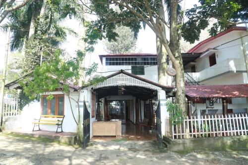 Rainforest inn