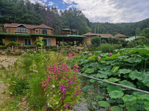 Red Clay Pension Dream Conversation