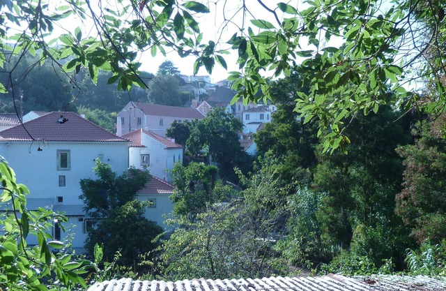 Red marinheiros stream, between the mountains and the sea