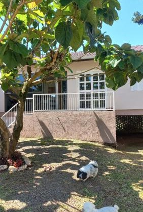 Refúgio dos pássaros