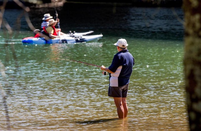 Reflections Ferry Reserve - Holiday Park
