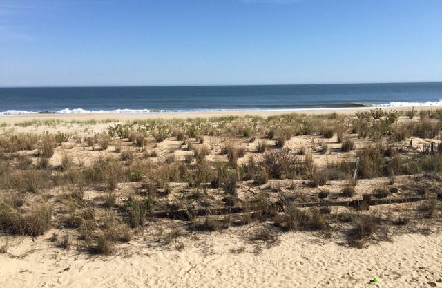 Rehoboth by the Sea Oceanfront Paradise!