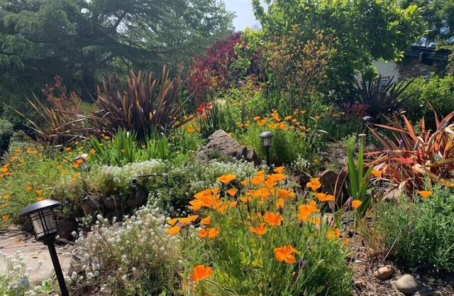 Relax in a Landscaped Paradise w/4Bdr Home, Amazing Santa Cruz Landscaped paradise