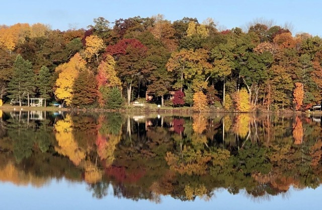 Relax in a Private Cabin on waters edge with your own private dock