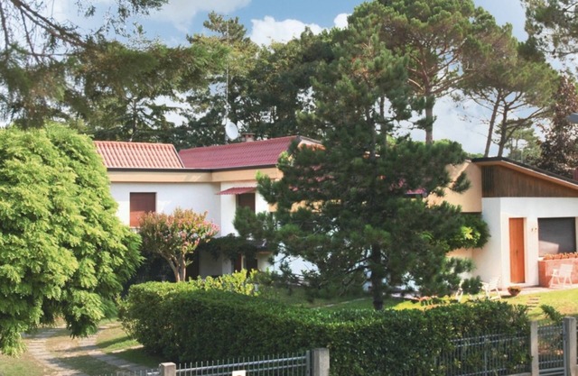 Relax in our flat surrounded by the greenery