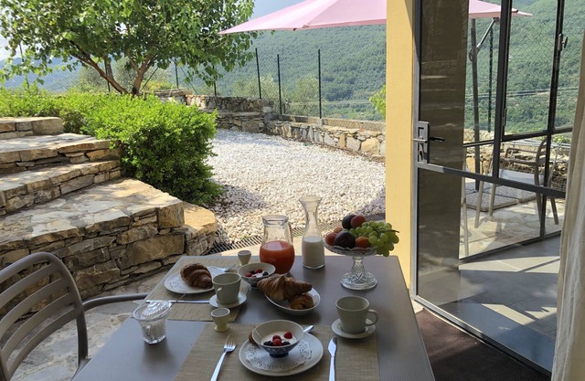 Relaxation in the garden among olive trees and the sea IT008019B5MNDCYLL8
