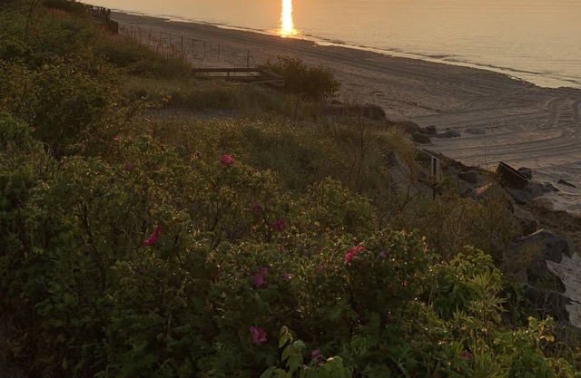Relaxing Beach Front with deck and fire pit perfect for the family