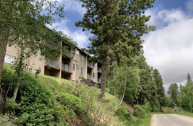 Remodeled Fully Furnished Barefoot Resort Condo at Terry Peak South Dakota!