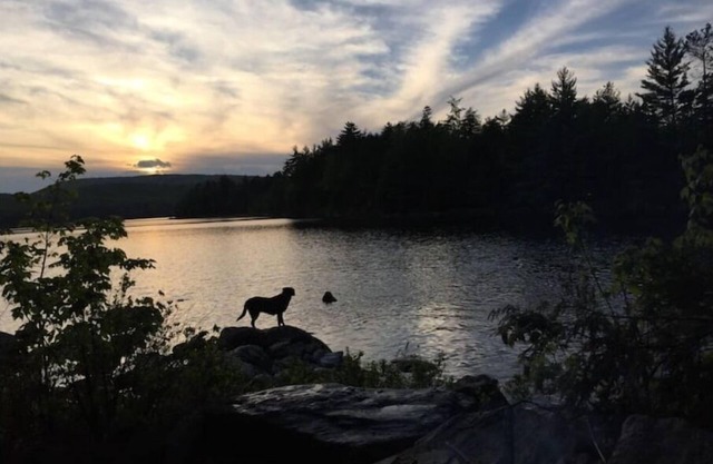 Remote off-grid cabin on pond 4WD/AWD required