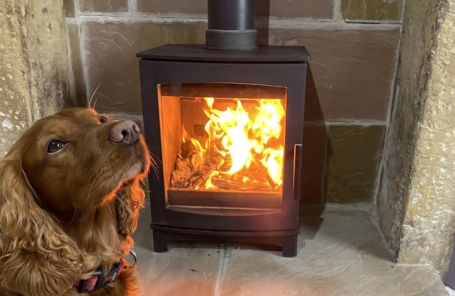 Renovated cosy cottage - pet friendly