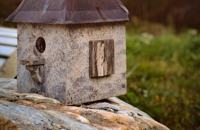 Renovated home perfectly set on six acres