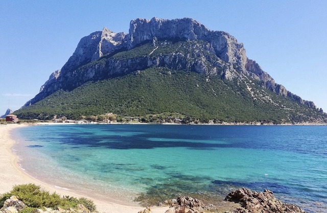 Residence with pool in Cala Girgolu