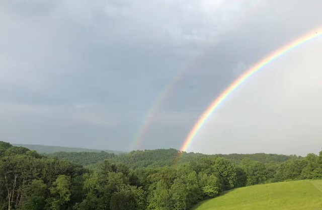 Ridgeview Cottage - 6 miles to the Rock House!