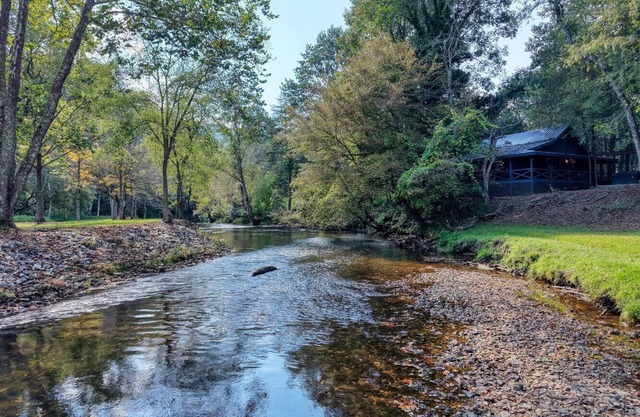 River Ben - 2-bedroom cabin in serene Suches with AC