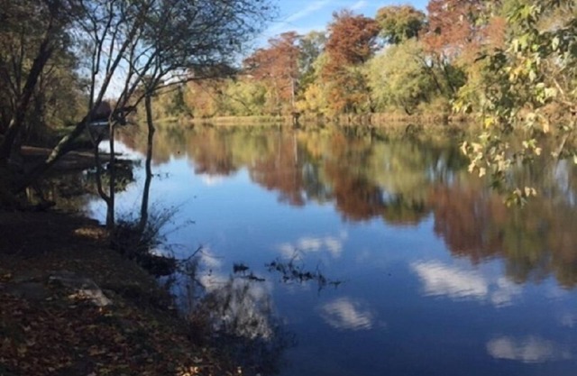 River Otter Grande on the Lower Mountain Fork River ~ Includes Kayaks!