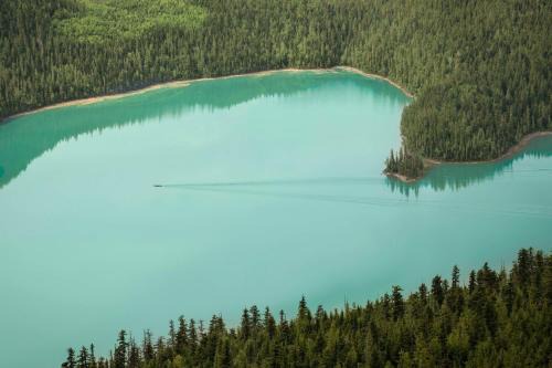 River Safari Mountain View Suite