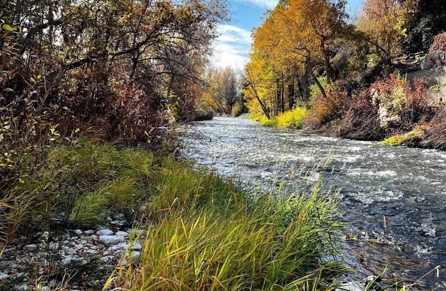 Riverbottoms 1-Acre Estate on the Provo River