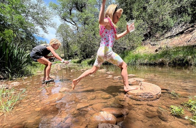 Riverfront Cabin with Hot Tub, Games & Wild Blackberry Trails
