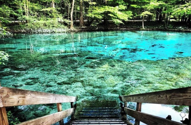 Riverfront Forest Retreat - Near Springs & UF! 3BR/2BA on the Santa Fe River!