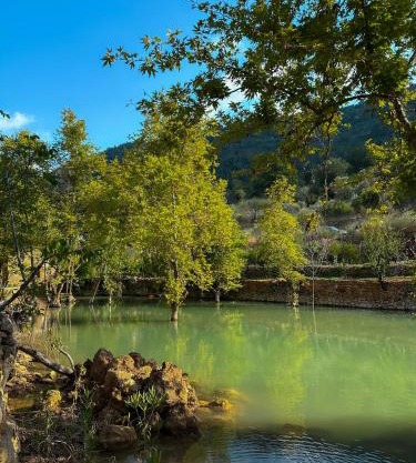 Riverside Jahliye, Chouf