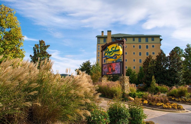 Riverstone 3BR condo, 5 min-Ripken/Dollywood/LeConte,Golf View, Indoor Pool,WiFi