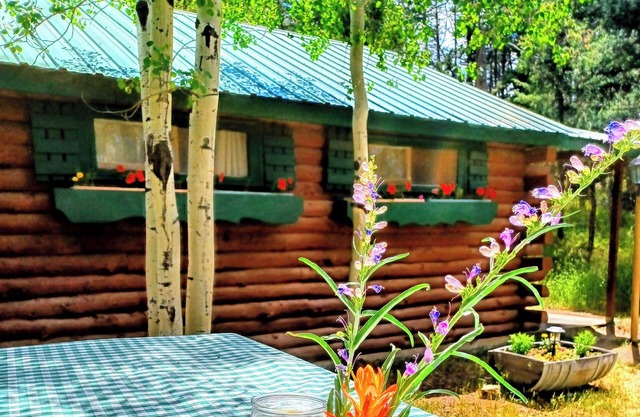 Rocky Mountain Cabins of Buena Vista