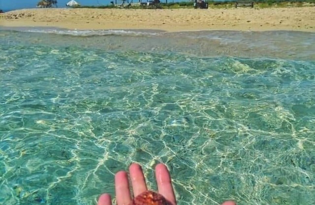 Romantic Sea Apartment , Directly on the Sea With Fantastic Views: Sea&harbor