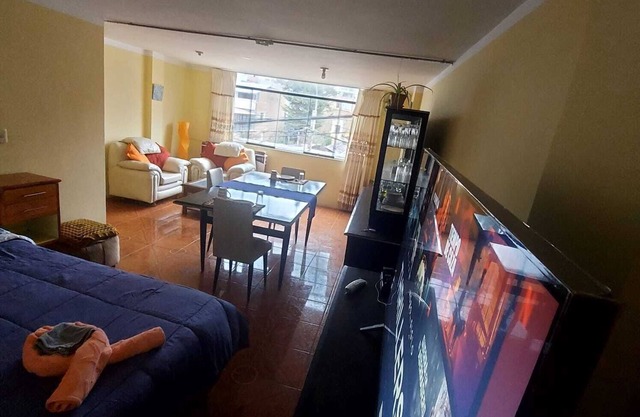 "Room 2 minutes from the center" (pets allowed)