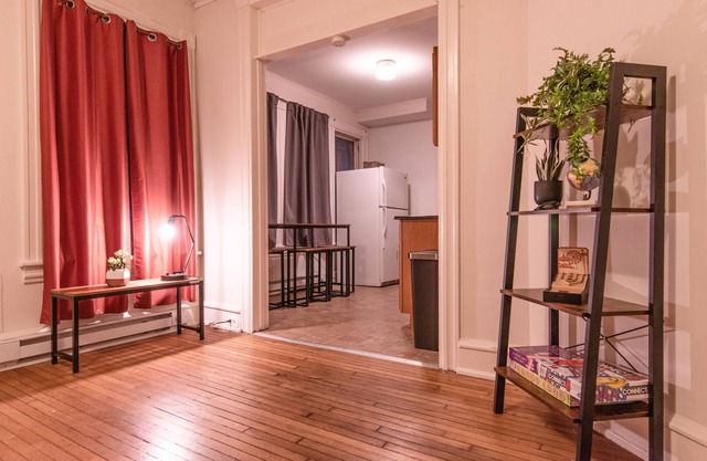 Roomy 2-BR work-stay, walking distance to downtown