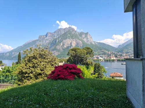 Rosen Garden Apartment