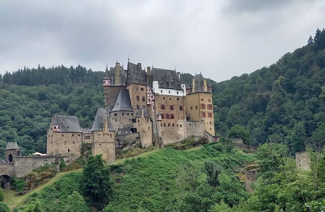 Rubin - holiday home fores