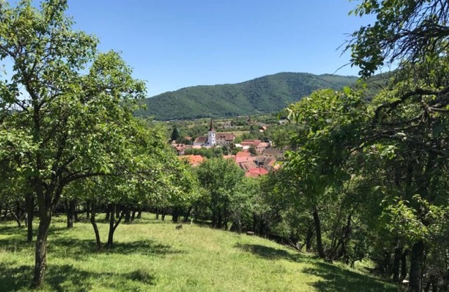 Rural family home, newly renovated, located in an authentic Romanian village