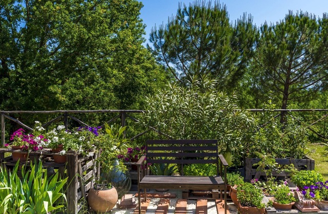 Rustic apartment for 4 people in the heart of the Tuscan countryside, garden with olive trees and sw