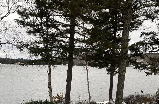 Rustic cabin on Back Lake in Pittsburg, NH great location.