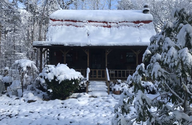 Rustic River Cabin, trout fishing, dog loving, beach area on secluded 8.5 acres!