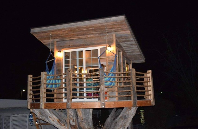 Rustic Tree House in the middle of town