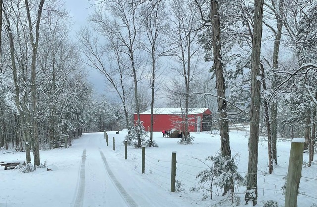 Rv on a charming farm, in the cedar trees