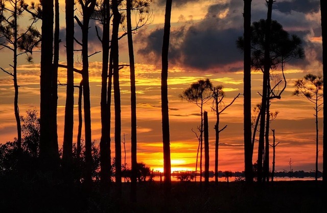 RV Site, Hookups, Close to Bay ~ Twilights Reach