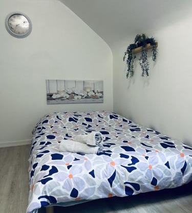 Séjours au centre de Strasbourg