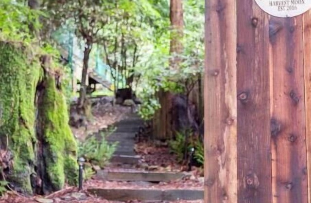 Sacred Redwood Chalet 30 day+Vaca/Furnished Rental