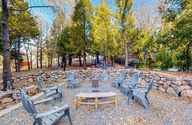 Saint Bernard Beauty