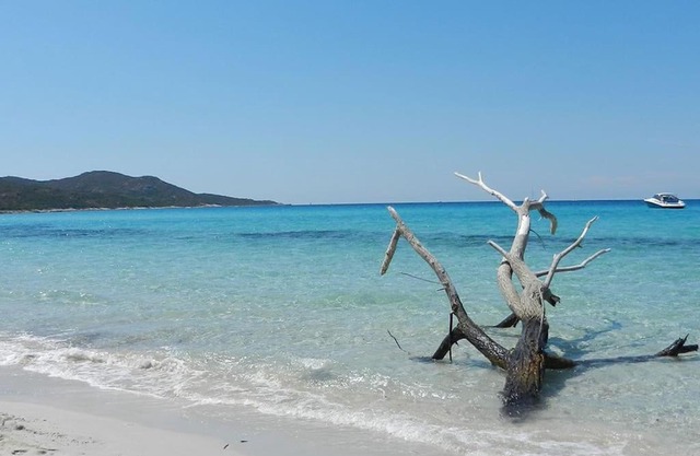 Saint florent/haute corse