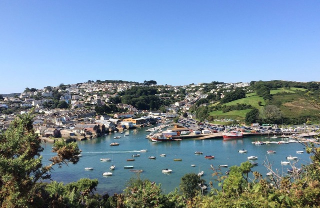 Salcombe Cottage tucked away off Island St., short, level walk to all amenities.
