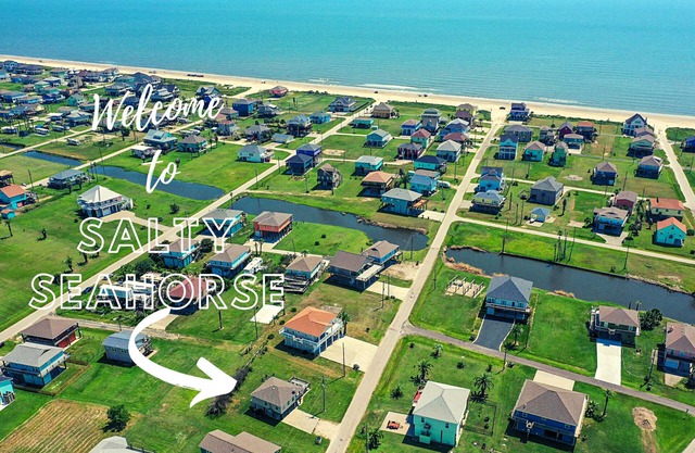 Salty Seahorse Studio, steps from the sand!